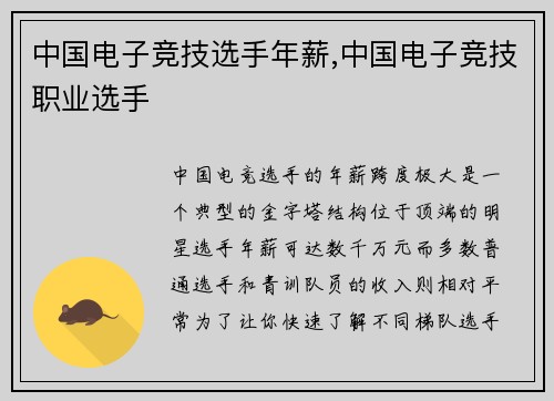 中国电子竞技选手年薪,中国电子竞技职业选手